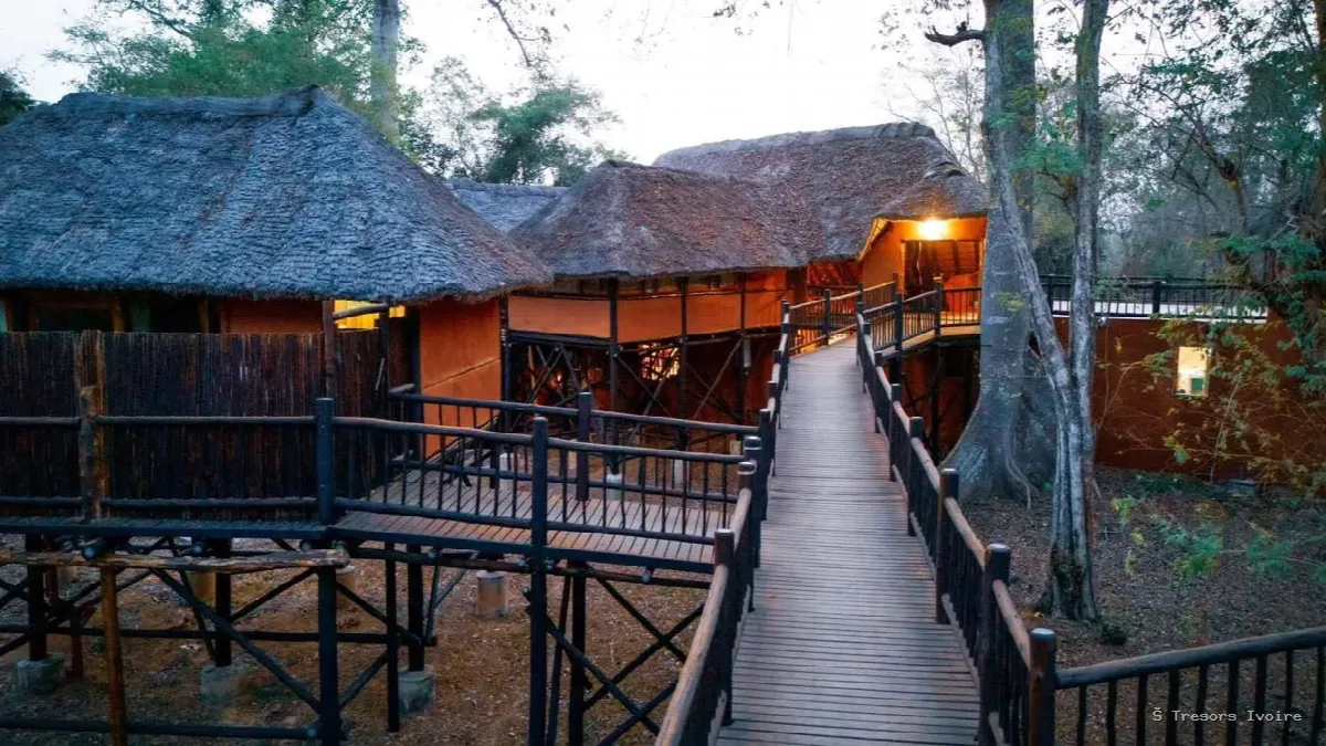 N’Zi River Lodges : dormir sur pilotis au cœur de la savane, et protéger la faune ivoirienne