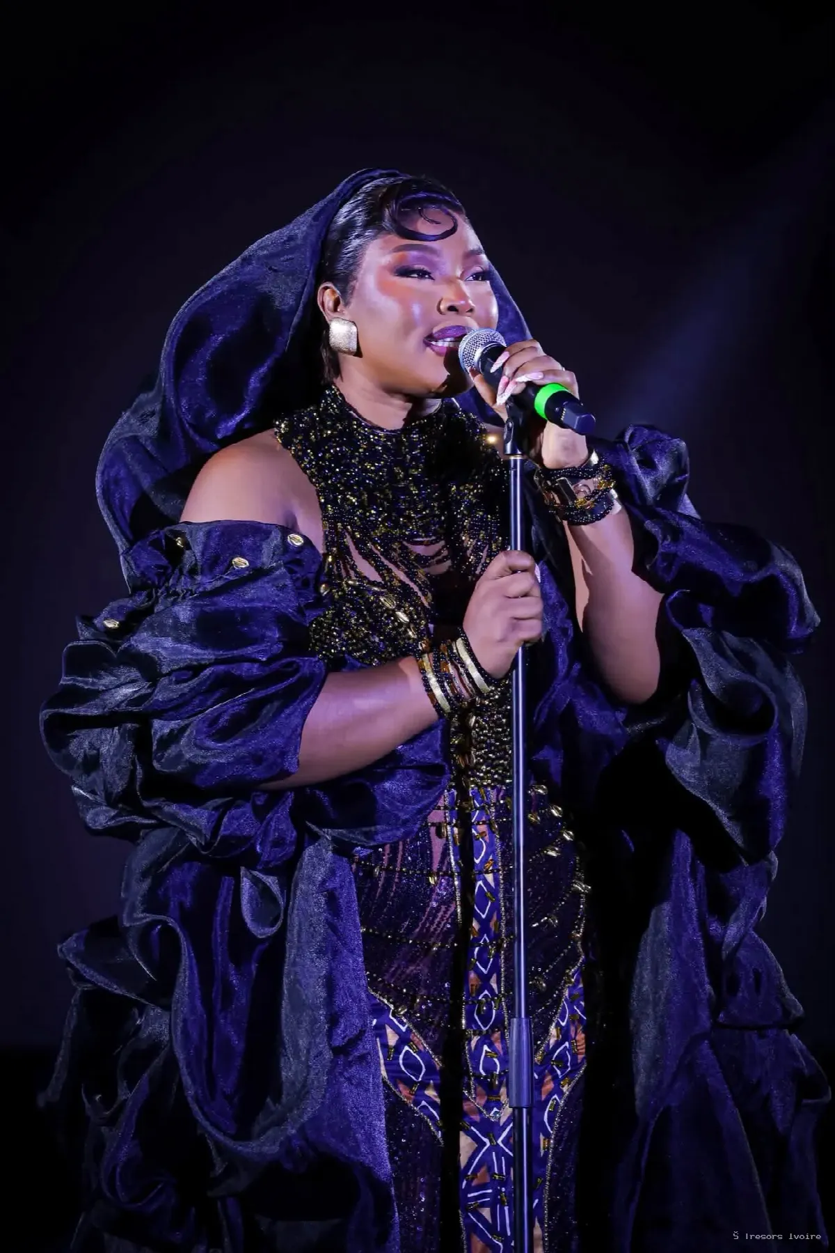 « DIVAS » : Roseline LAYO fait vibrer le Majestic Ivoire avant la sortie de son nouvel album